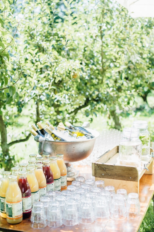 Fine Art Fotograaf Buiten Bruiloft boomgaard Olmenhorst Lisserbroek buitenbruiloft Amsterdam trouwen Noord Holland Zuid Holland Utrecht Brabant Lisse romantisch pastel pasteltinten lange tafels diner dineren in het gras styling outdoor wedding orchard 