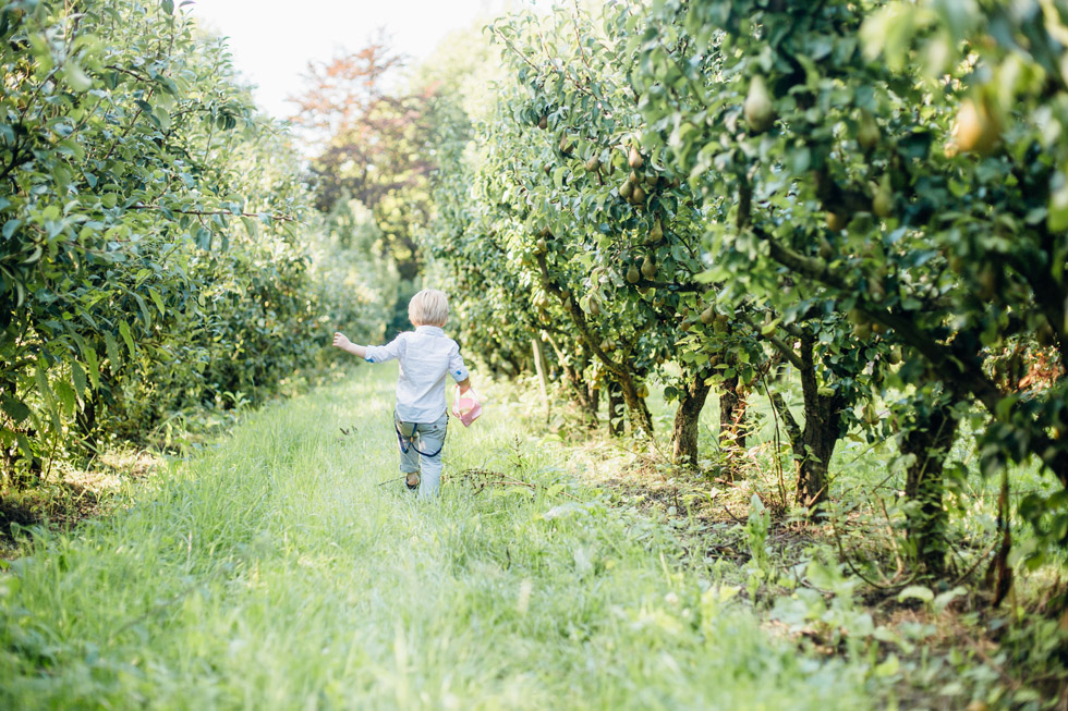 Fine Art Fotograaf Buiten Bruiloft boomgaard Olmenhorst Lisserbroek buitenbruiloft Amsterdam trouwen Noord Holland Zuid Holland Utrecht Brabant Lisse romantisch pastel pasteltinten lange tafels diner dineren in het gras styling outdoor wedding orchard 
